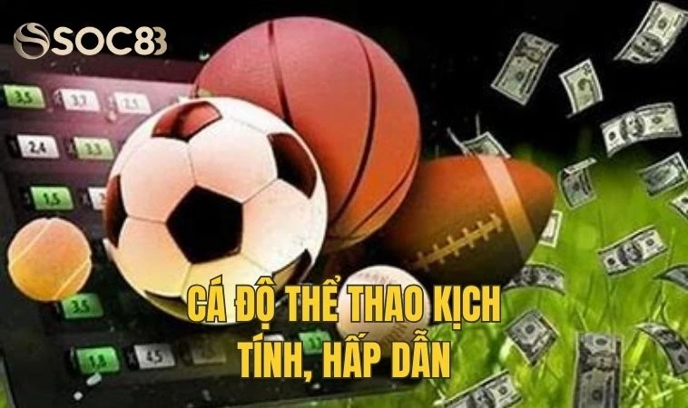 Max88 - Sân Chơi Cá Cược Uy Tín Cho Tân Thủ 2024 2 Cá độ thể thao hấp dẫn