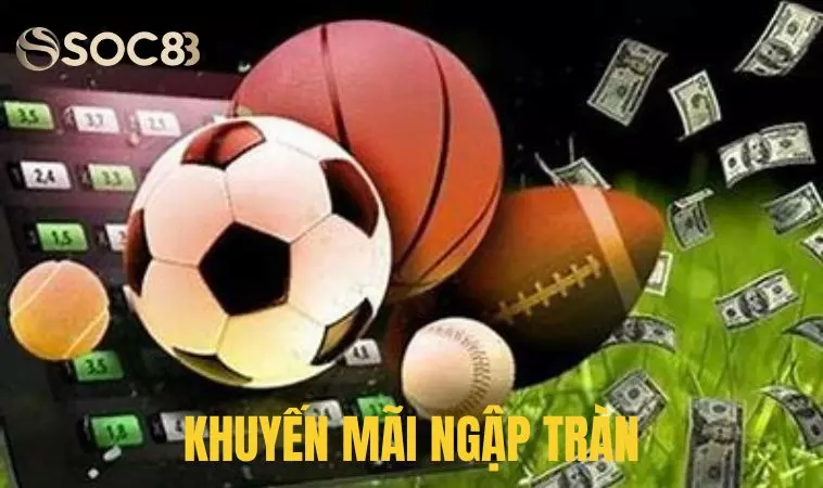 388bet - Nhà Cái Cá Cược Đẳng Cấp Đáng Chơi Nhất 2024 2 Chương trình khuyến mãi phong phú